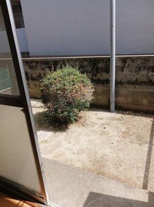 �y���̑��z�@��