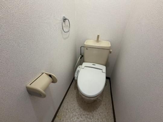 �y���̑��z�@�������D��