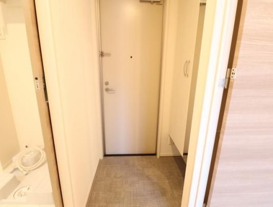 �y���̑��z�@206�@����