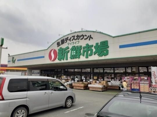 【周辺】　新鮮市場　菊池店：1200m