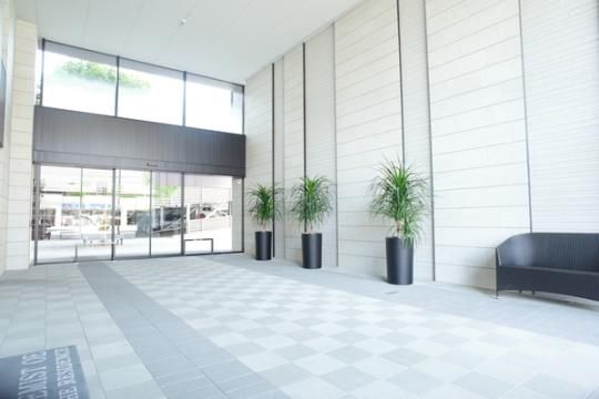 �y�����O�ρz�@���r�[