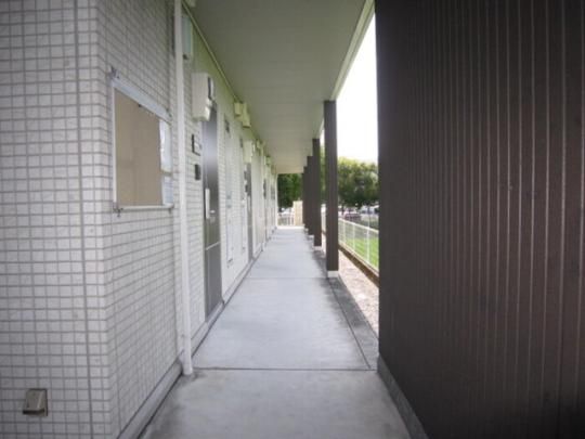 �y�����O�ρz�@���֑O