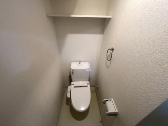 �y���̑��z�@�g�C��