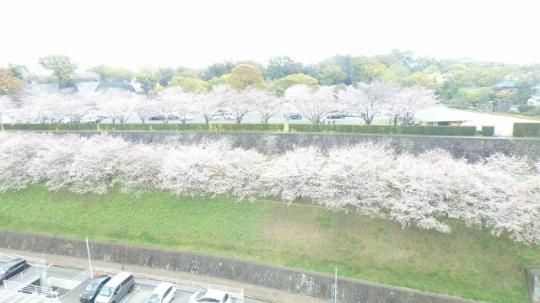 �y�����O�ρz�@���]