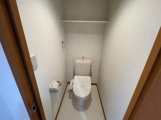 �y���̑��z�@�g�C��