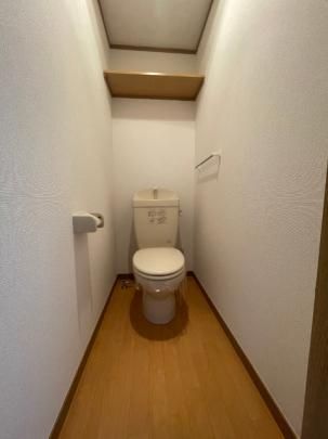 �y���̑��z�@�g�C��