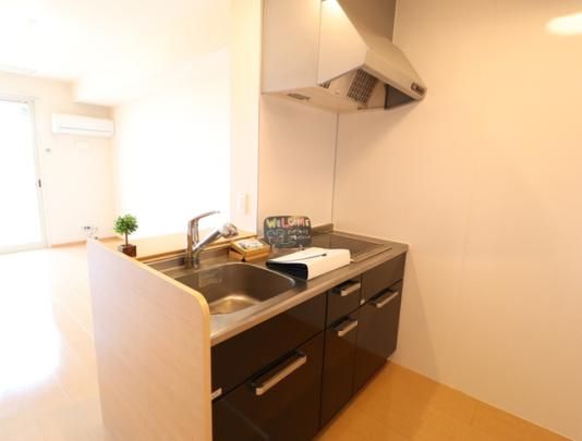 �y���̑��z�@105�@�ΖʃL�b�`��