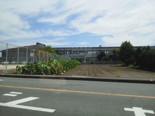 【周辺】　飽田中学校：110m