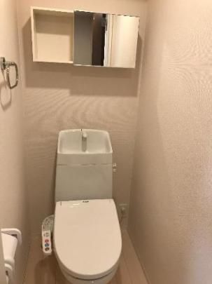 �y���̑��z�@�V�����[�t�g�C��