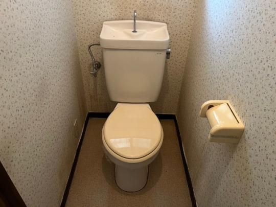 �y���̑��z�@�g�C��