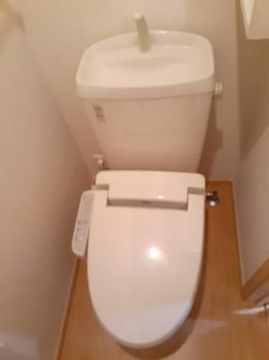 �y���̑��z�@�g�C��