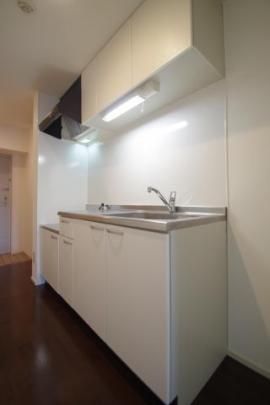 �y���̑��z�@���^�^�C�v�������D��