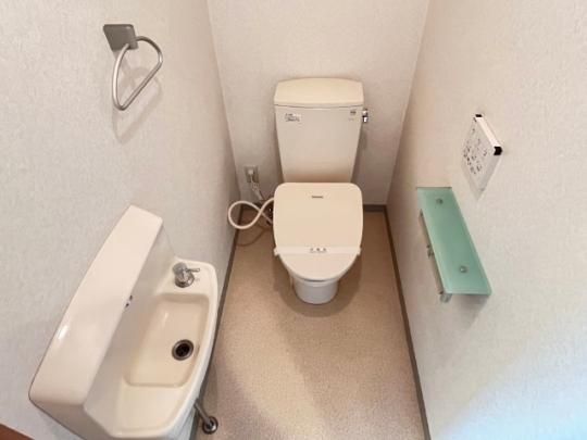 �y���̑��z�@�g�C��