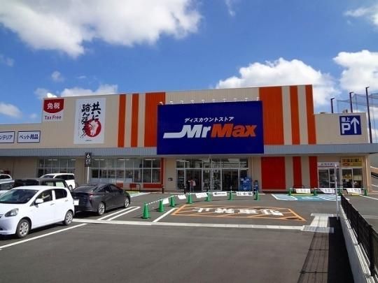 �y���Ӂz�@�~�X�^�[�}�b�N�X�@�F�{�k�X�F650m