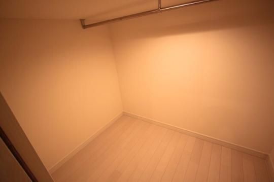 �y���̑��z�@���^�^�C�v