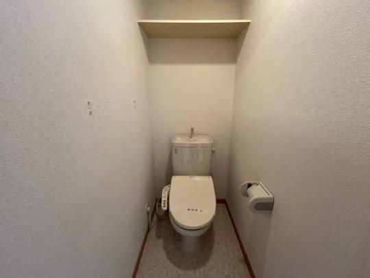 �y���̑��z�@�g�C��