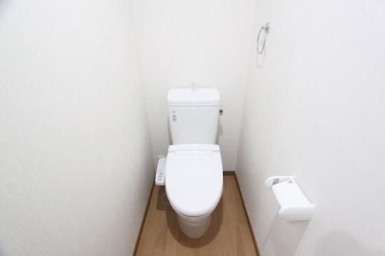 �y���̑��z�@�g�C��