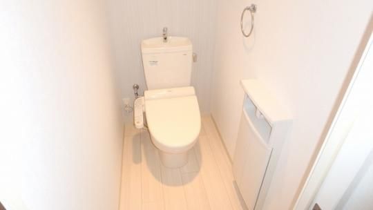 �y���̑��z�@�g�C��