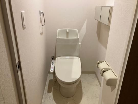 �y���̑��z�@�g�C��