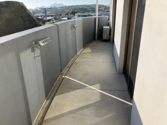 �y���̑��z�@�o���R�j�[