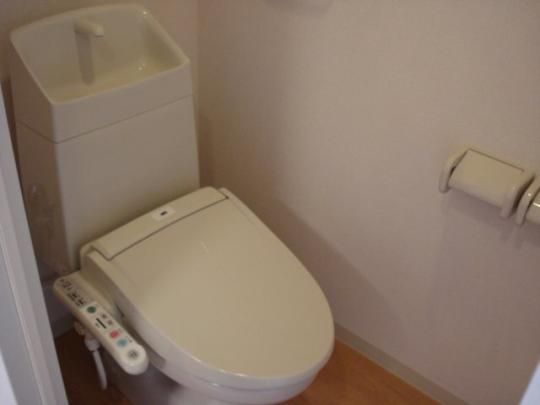 �y���̑��z�@�V�����[�t�g�C���i�C���[�W�j