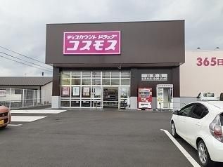 �y���Ӂz�@�R�X���X�F250m