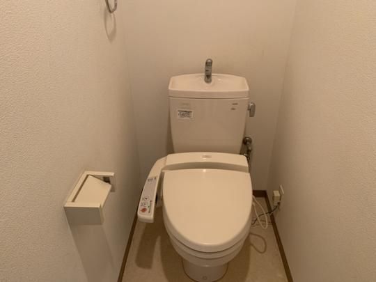 �y���̑��z�@���^���f��