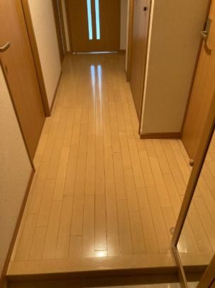 �y���̑��z�@���^���f��