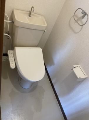 �y���̑��z�@�g�C��