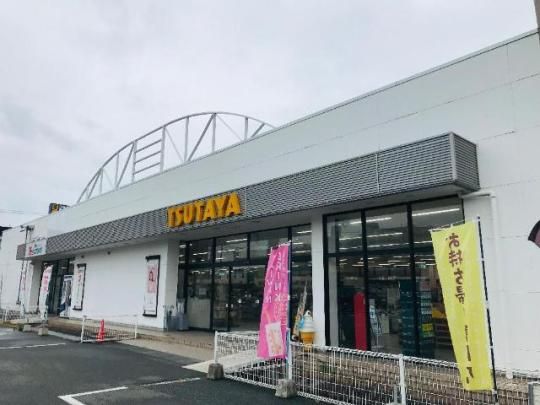 yӁz@TSUTAYA@AVNuՕXF1600m