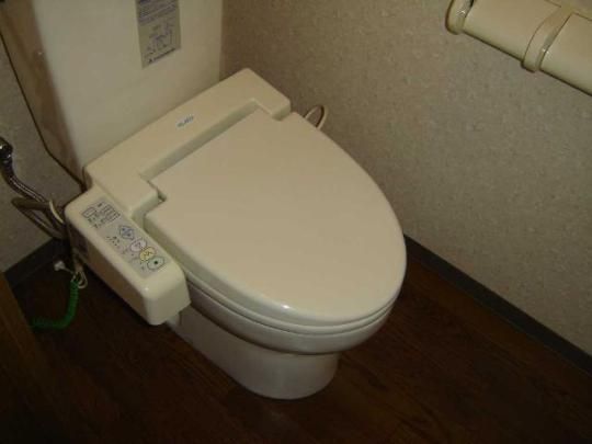 �y���̑��z�@�g�C��