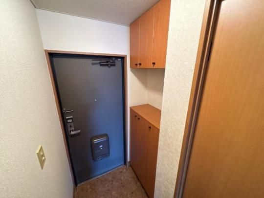 �y���̑��z�@���r���O