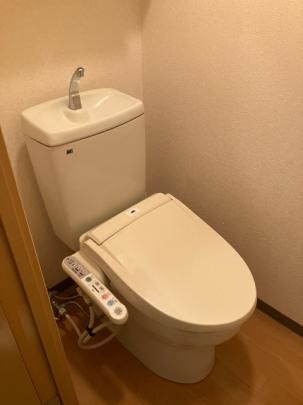 �y���̑��z�@�g�C��