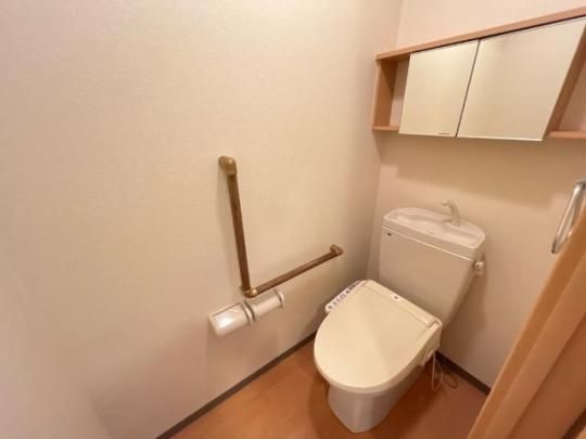 �y���̑��z�@�V�����[�t�g�C��