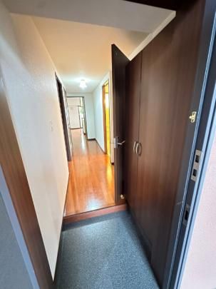 �y���̑��z�@���^�^�C�v