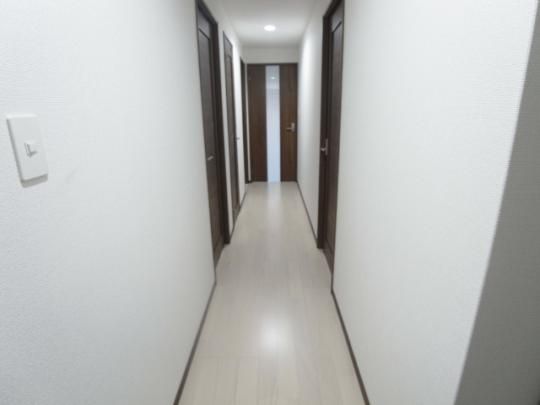 �y���̑��z�@���^�^�C�v