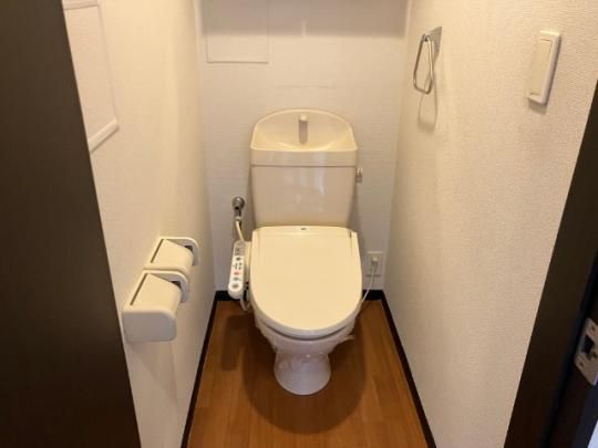 �y���̑��z�@�g�C��