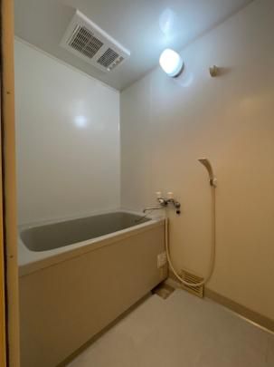 �y���̑��z�@���^�^�C�v