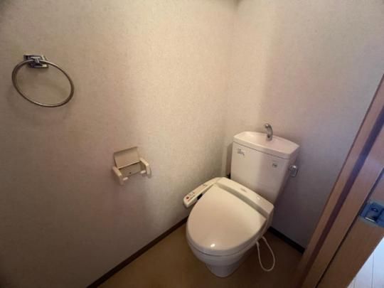 �y���̑��z�@�g�C��