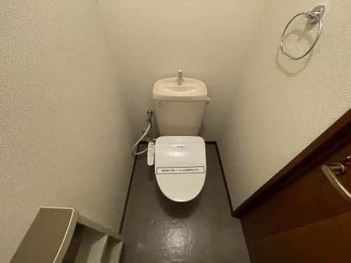 �y���̑��z�@�g�C��