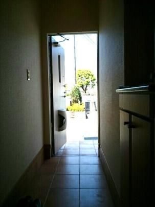 �y���̑��z�@�G���g�����X
