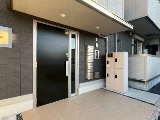 �y�����O�ρz�@�G���g�����X