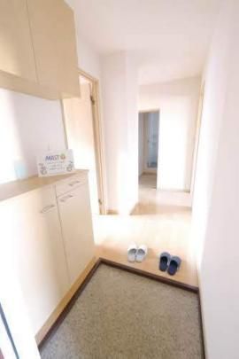 �y���̑��z�@����