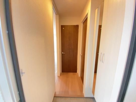 �y���̑��z�@101����