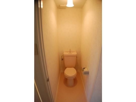 �y���̑��z�@�g�C��