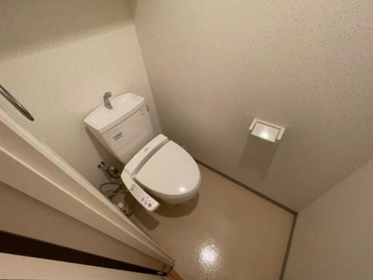 �y���̑��z�@�g�C��