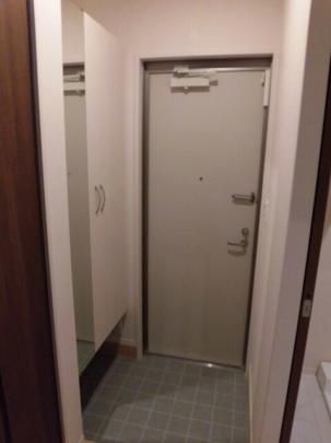 �y���̑��z�@����301