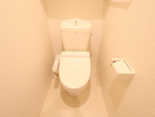 y̑z@202@g[֍