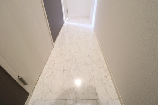 �y���̑��z�@202�@�嗝�Β��̏�