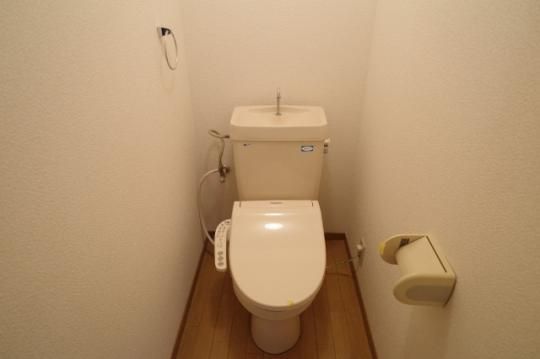 �y���̑��z�@�g�C��